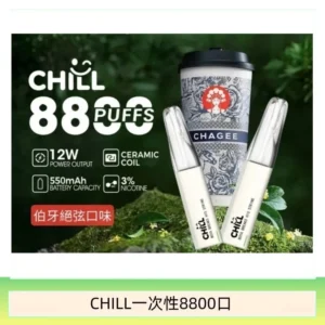 10種口味|鴨嘴獸CHILL 8800口一次性電子菸 8ml大容量煙油