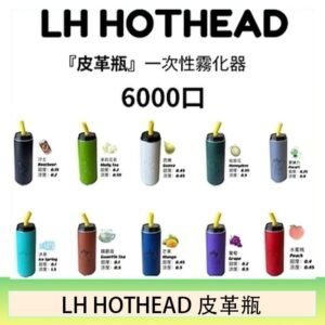 LH HOTHEAD皮革瓶電子煙可充電6000口一次性