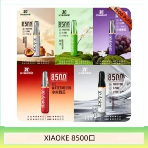 梟客XIAOKE一次性電子菸拋棄式8500口